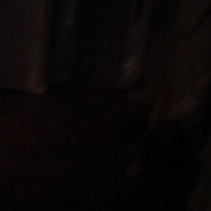 Meet your Posher, Jake